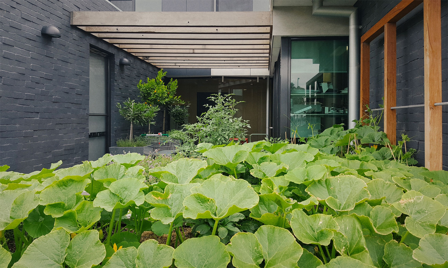 Community Garden Design
